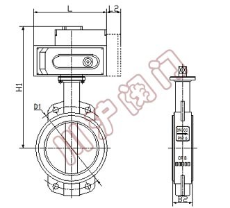 電動(dòng)對夾蝶閥 結(jié)構(gòu)圖